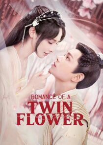 دانلود سریال Romance of a Twin Flower379211-790258835