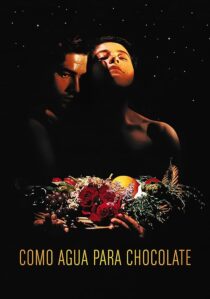 دانلود فیلم Like Water for Chocolate 1992387861-1618851832