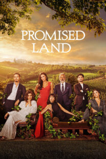 دانلود سریال Promised Land380550-761382960