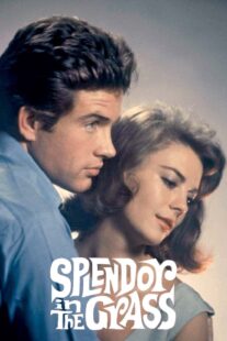 دانلود فیلم Splendor in the Grass 1961382554-862840752