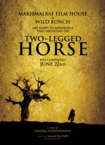 دانلود فیلم Two-Legged Horse 2008386427-20523510