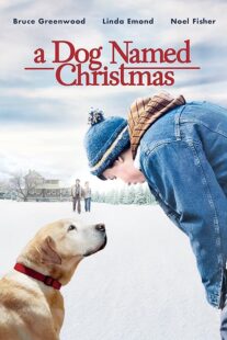 دانلود فیلم A Dog Named Christmas 2009389298-419450315