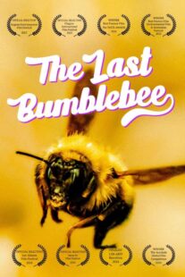 دانلود مستند The Last Bumblebee 2024399140-930019413