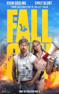 دانلود فیلم The Fall Guy 2024398889-1377264428