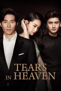 دانلود سریال Tears in Heaven398517-1350640383