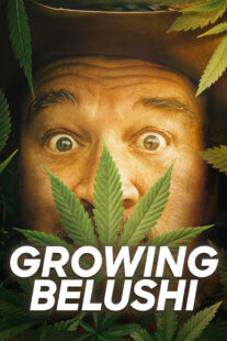 دانلود سریال Growing Belushi400424-1120707413