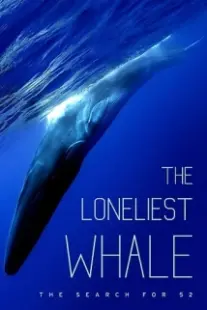 دانلود فیلم The Loneliest Whale: The Search for 52 2021403098-119253698