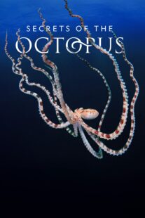 دانلود سریال Secrets of the Octopus401286-691157504