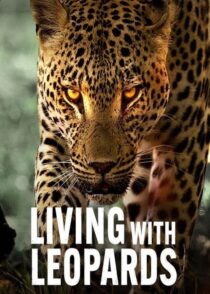 دانلود مستند Living with Leopards 2024400477-491976971