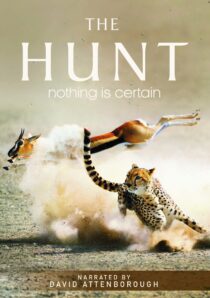 دانلود سریال The Hunt407007-1038509208