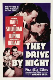 دانلود فیلم They Drive by Night 1940411221-1559038149