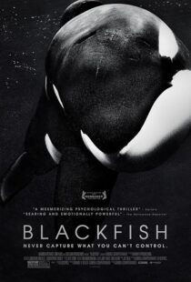 دانلود فیلم Blackfish 2013412328-721388572