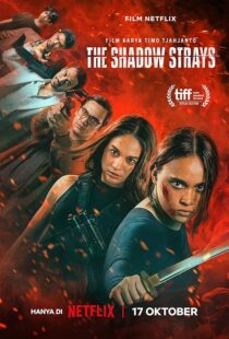 دانلود فیلم The Shadow Strays 2024412265-756067310