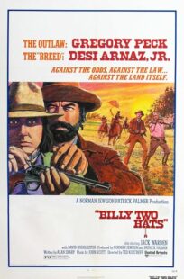 دانلود فیلم Billy Two Hats 1974411057-1449430989