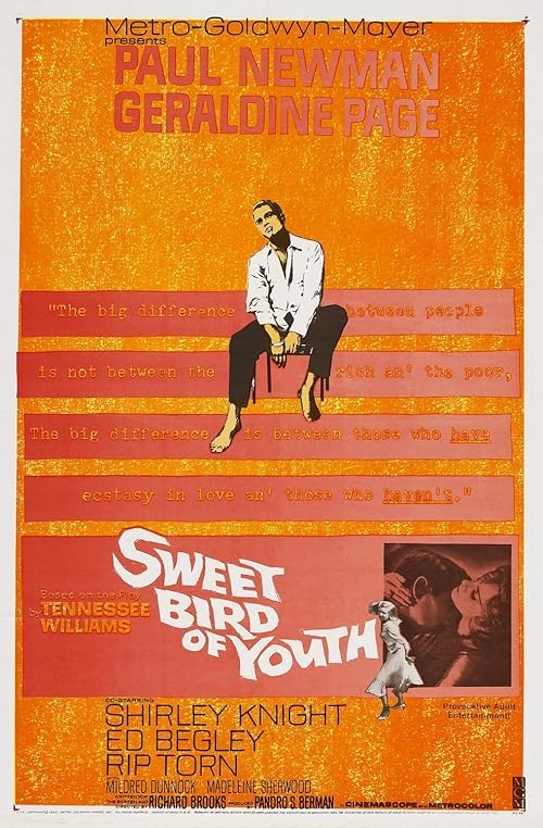 دانلود فیلم Sweet Bird of Youth 1962