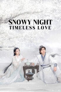 دانلود سریال Snowy Night Timeless Love417168-1825905158