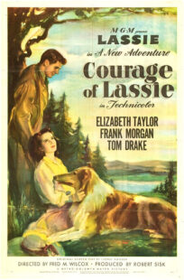 دانلود فیلم Courage of Lassie 1946417427-2092591057