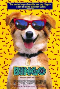 دانلود فیلم Bingo 1991417459-677570592